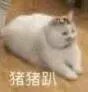 尬笑微信聊天表情包