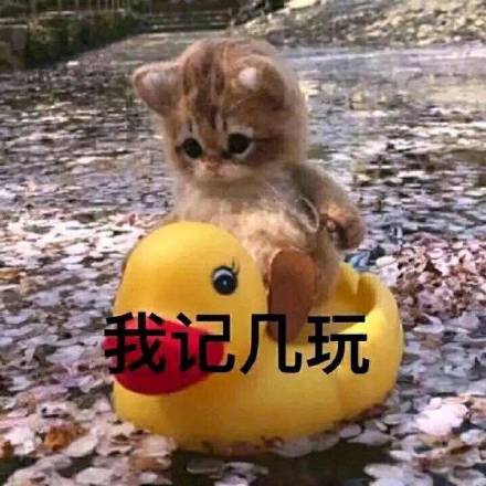 这是一组宇宙无敌超可爱的表情包