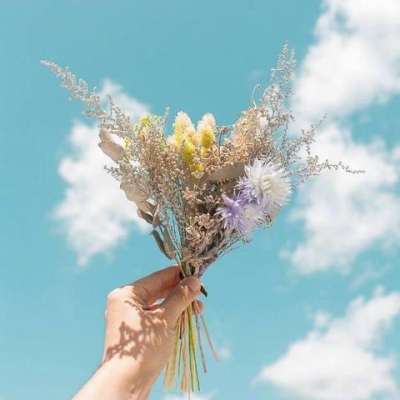 ins风微信背景图