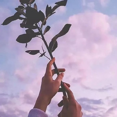 限量版微丧背景图