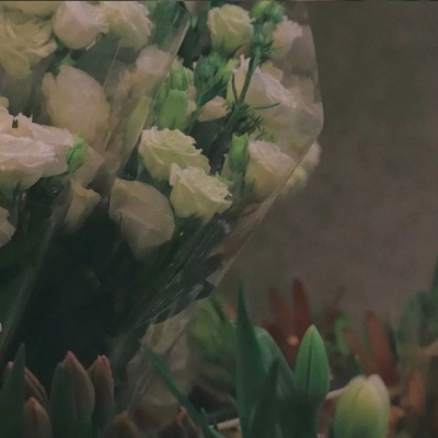 限量版微丧背景图