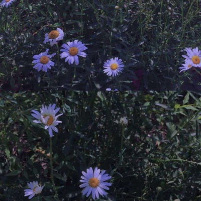 限量版微丧背景图