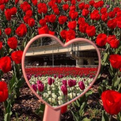 爱心镜子系列背景图