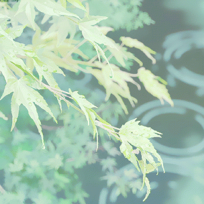 雨天系列微信背景图