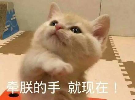 这是一组宇宙无敌超可爱的表情包