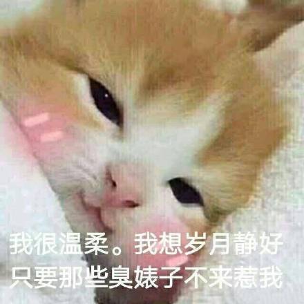 这是一组宇宙无敌超可爱的表情包