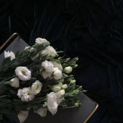 限量版微丧背景图