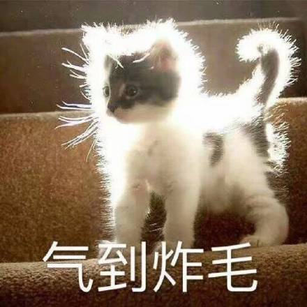 这是一组宇宙无敌超可爱的表情包
