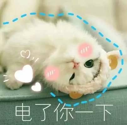 这是一组宇宙无敌超可爱的表情包