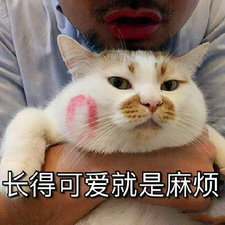 这是一组宇宙无敌超可爱的表情包