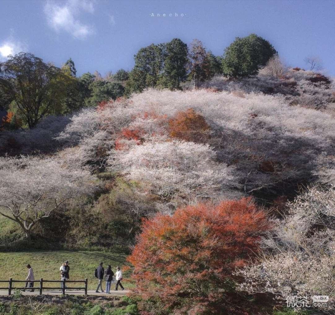 微信唯美富士山朋友圈配图