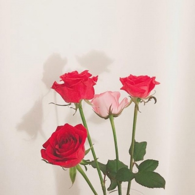 ins风微信背景图