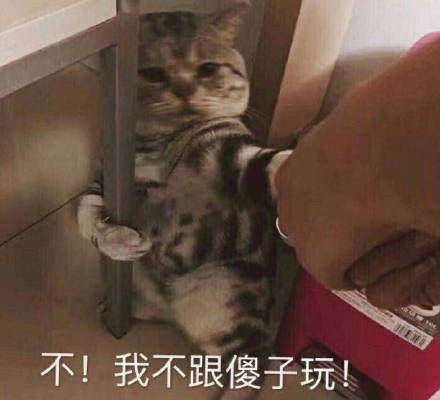 这是一组宇宙无敌超可爱的表情包
