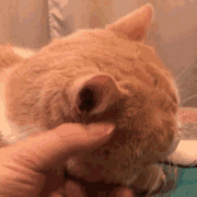 微信近期斗图恶搞表情包2020/5/30（二）