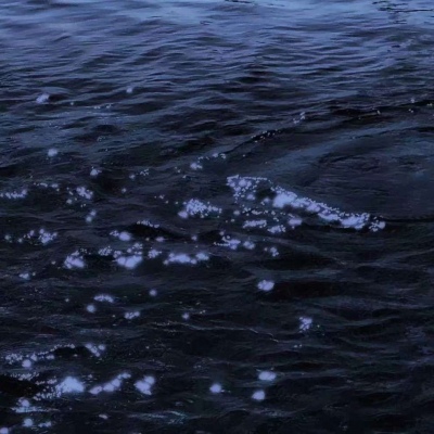 唯美静物风景图朋友圈配图