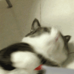 微信近期斗图恶搞表情包2020/5/30(二)