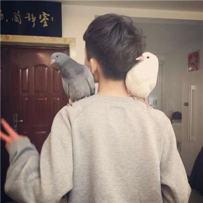 忧郁系禁欲微信男头