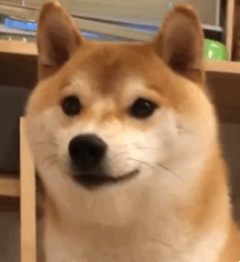 微信斗图超搞笑恶搞表情包（二）