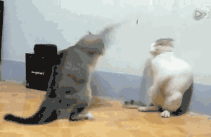 微信近期斗图恶搞表情包2020/5/30（二）