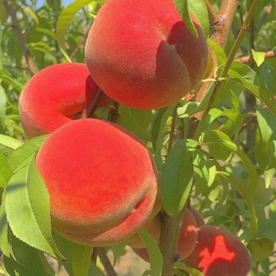 暖色调朋友圈配图