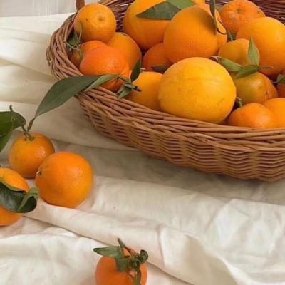 暖色调朋友圈配图