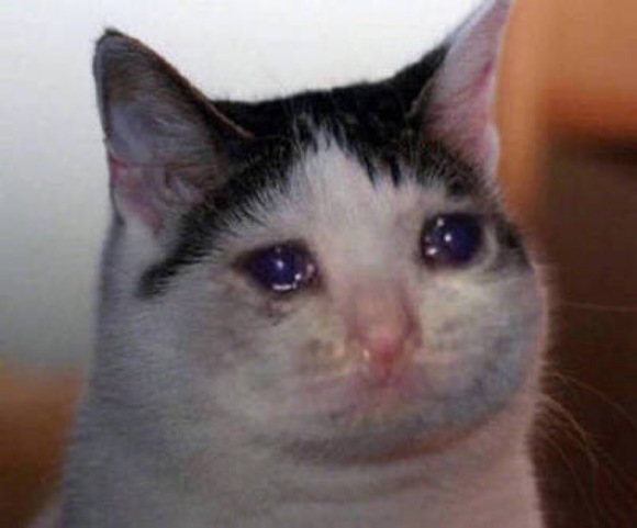 微信近期斗图恶搞表情包2020/5/30