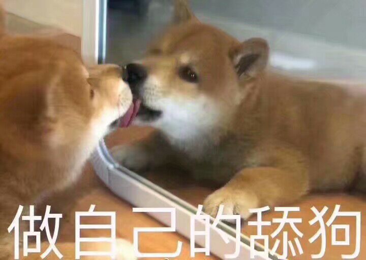 微信近期斗图恶搞表情包2020/5/29(二)