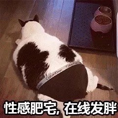 微信群聊怼人恶搞套系表情包(一)