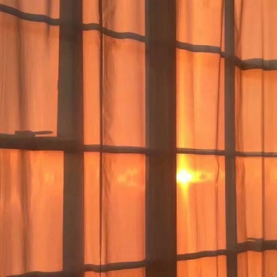 橙色系皆甜超火的背景图