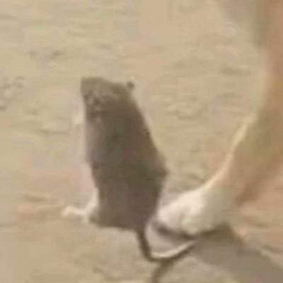 都不是人搞笑沙雕微信情头