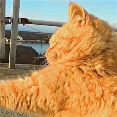 都不是人搞笑沙雕微信情头