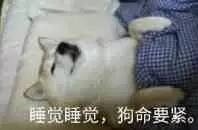微信群聊怼人恶搞套系表情包（三）