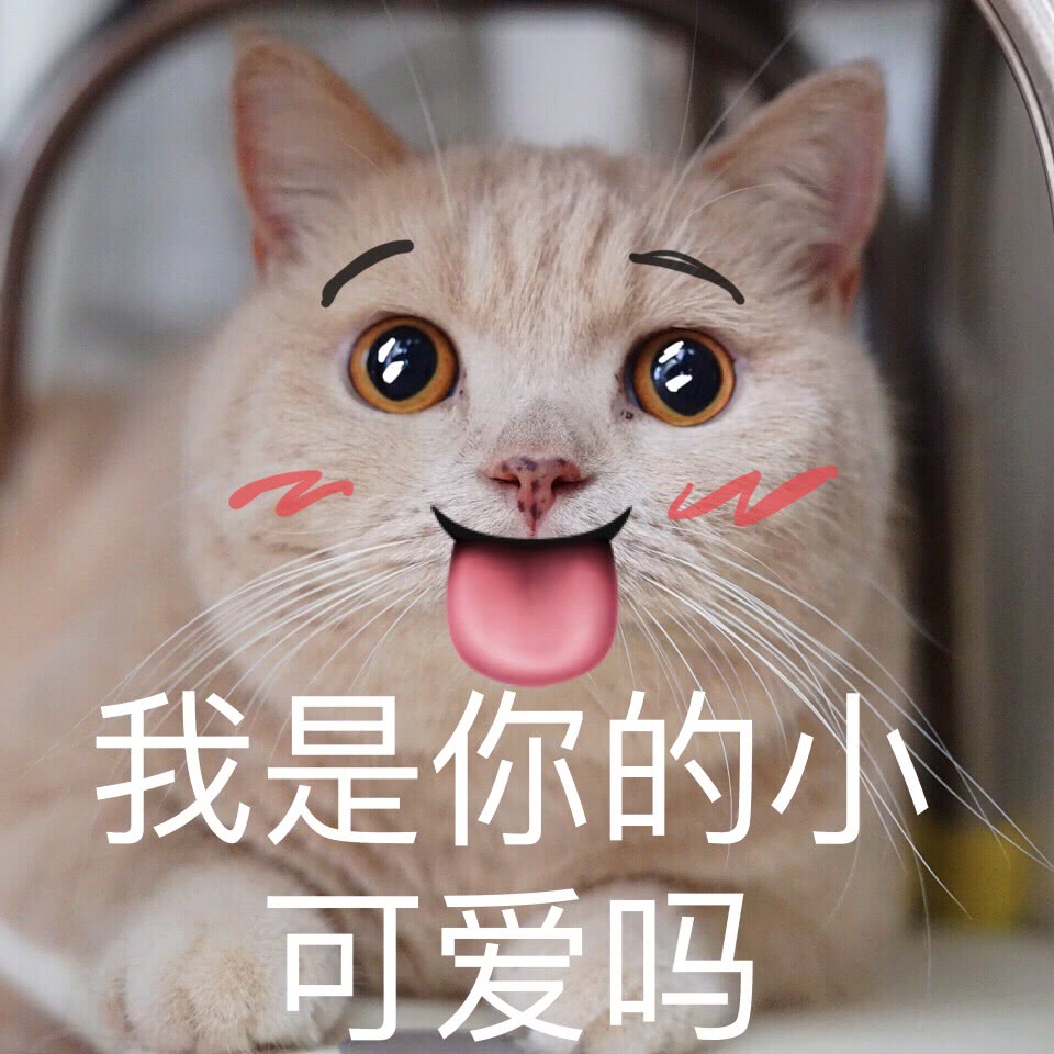 微信近期斗图恶搞表情包2020/5/29(二)