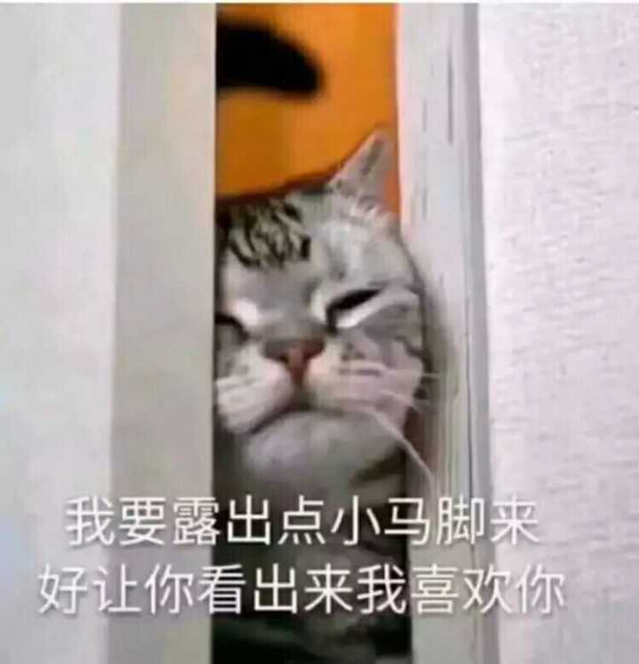 微信近期斗图恶搞表情包2020/6/1(二)