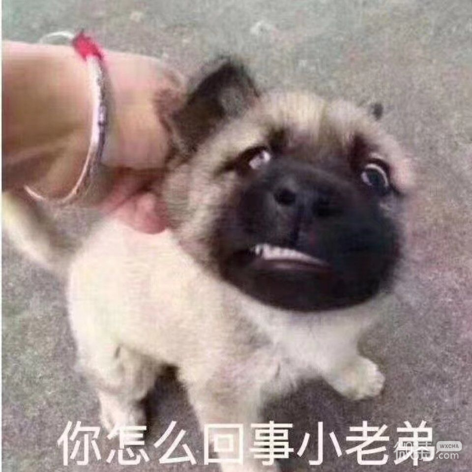 微信怼人恶搞聊天表情包（二）
