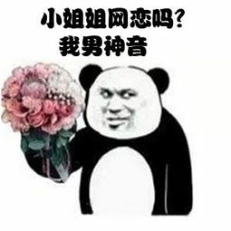 微信近期斗图恶搞表情包2020/6/1(二)