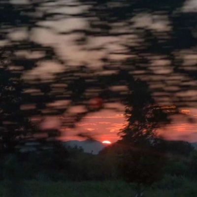 原宿风好看风景花朵朋友圈配图（二）