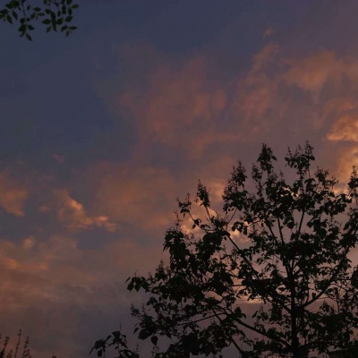 原宿风好看风景花朵朋友圈配图（二）