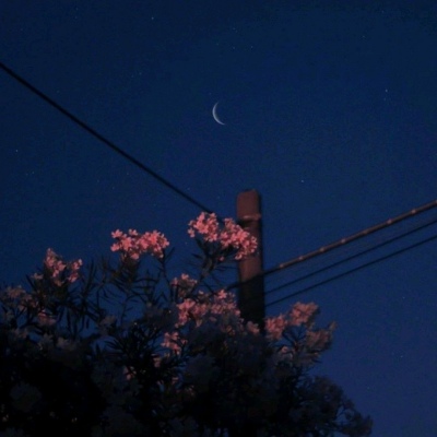 原宿风好看风景花朵朋友圈配图（二）