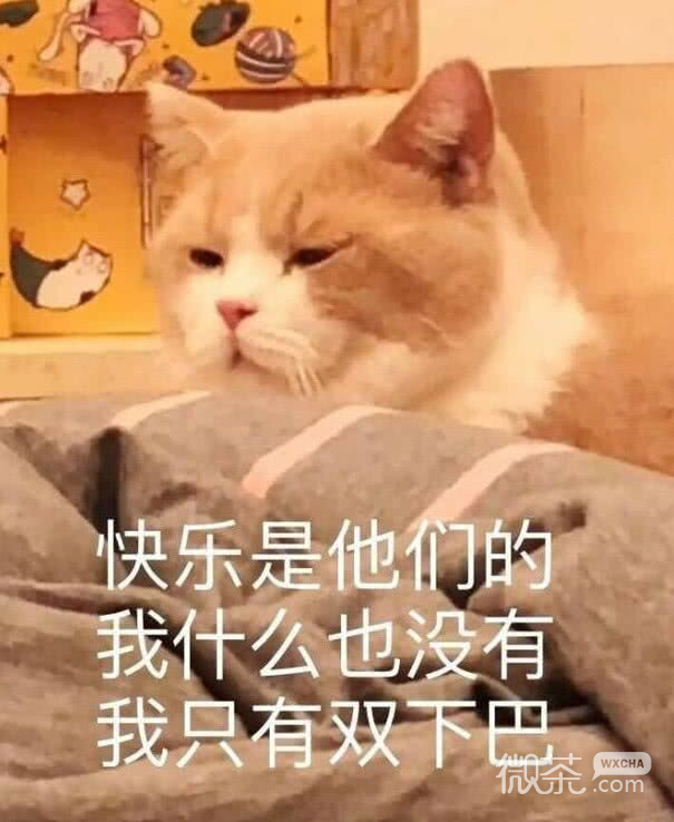 微信怼人恶搞聊天表情包（二）