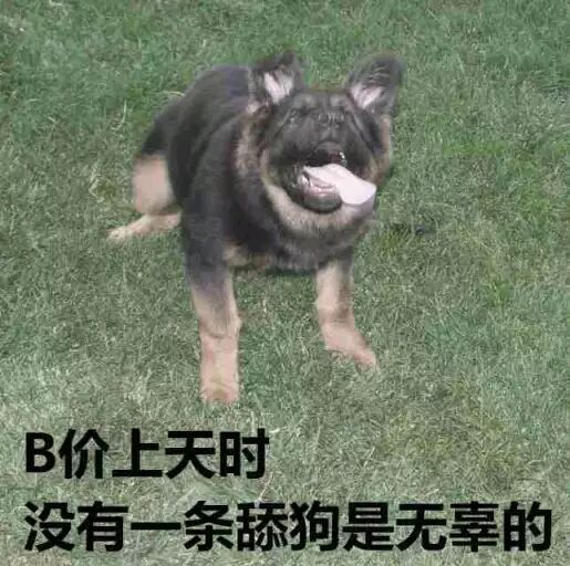 微信怼人恶搞聊天表情包（三）