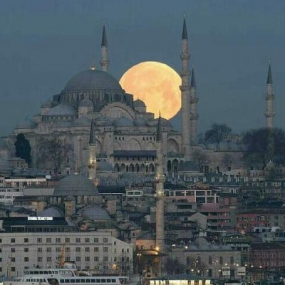 火爆全网的丧气系列背景图