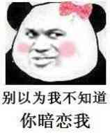 微信近期斗图恶搞表情包2020/6/1(二)