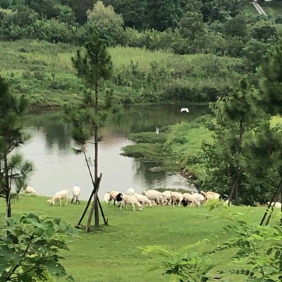 原宿风好看风景花朵朋友圈配图（二）