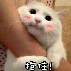 微信近期斗图恶搞表情包2020/6/1