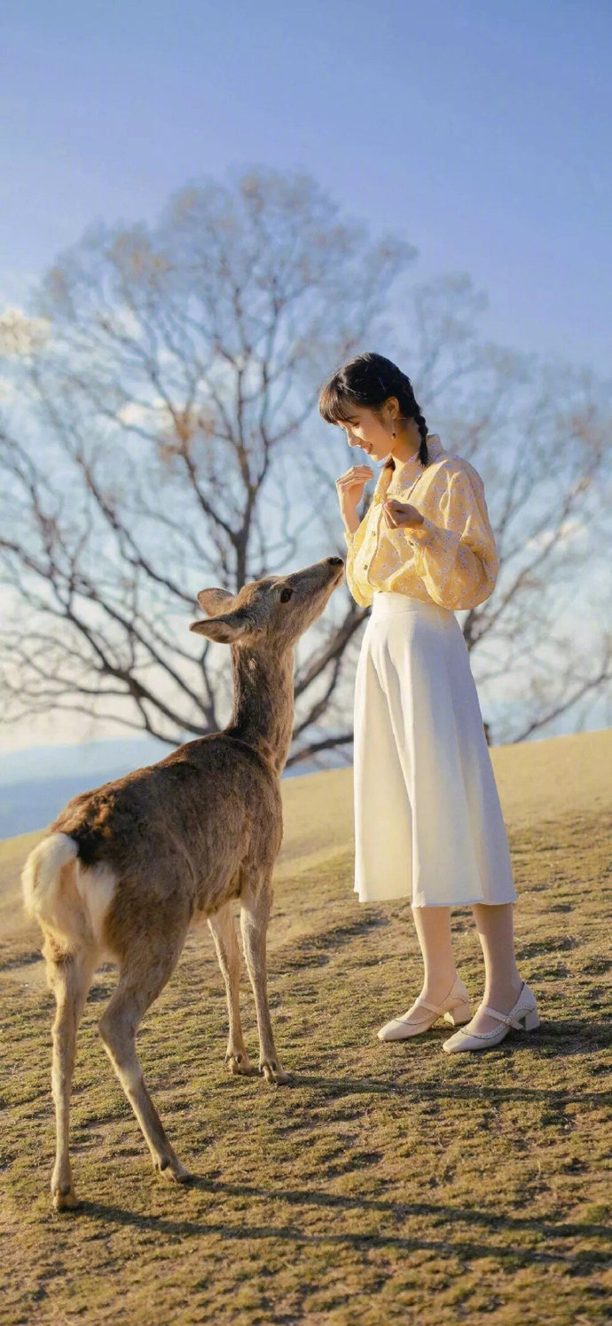 可爱风景文艺简约壁纸