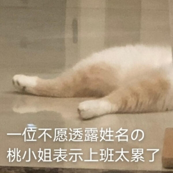 今日份沙雕表情合集（二）