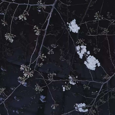 艺术ins风景静物背景图