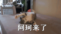 搞笑无厘头微信斗图表情包（二）