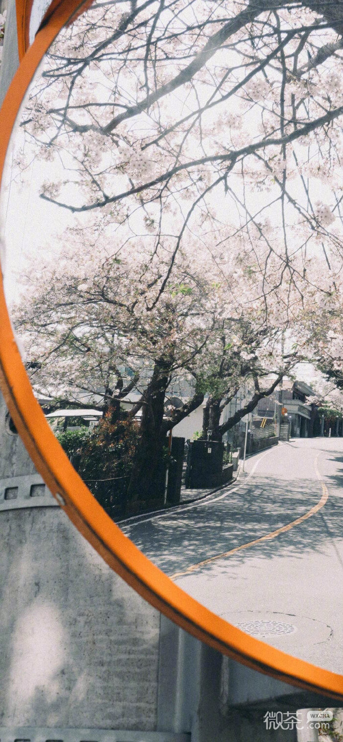 拼接风景复古聊天背景图